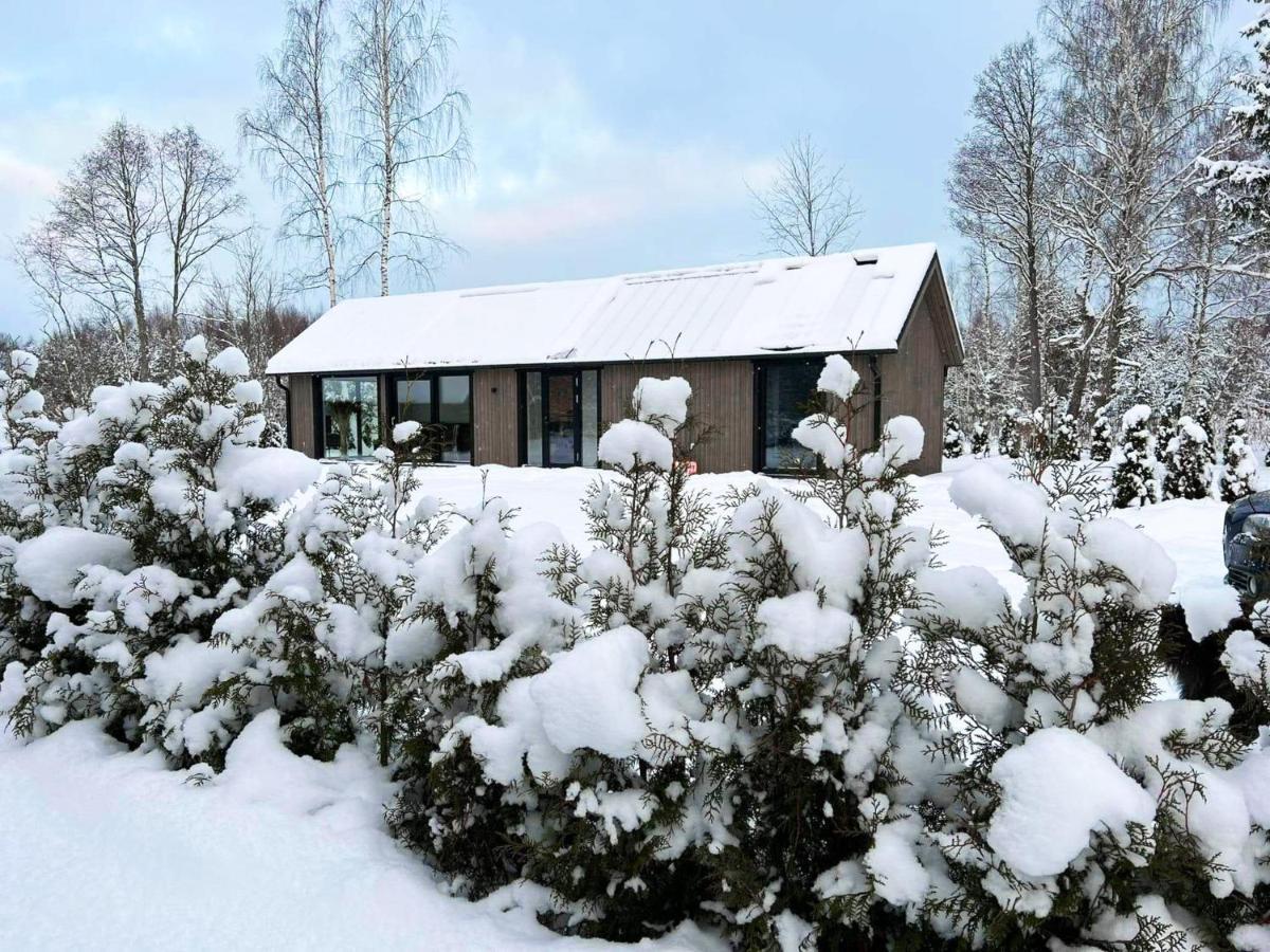 Paerli Puhkemaja / Pearl Riverside House Pudisoo Extérieur photo